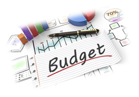 How to input a budget in PMI