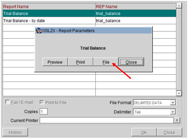 3 Trial Balance (trial_balance) 3 Trial Balance (trial_balance)
